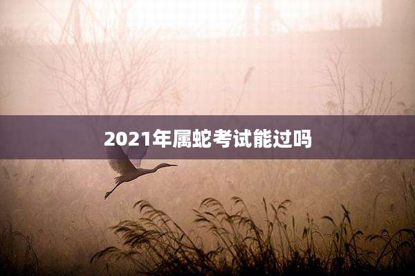 2021年属蛇考试能过吗
