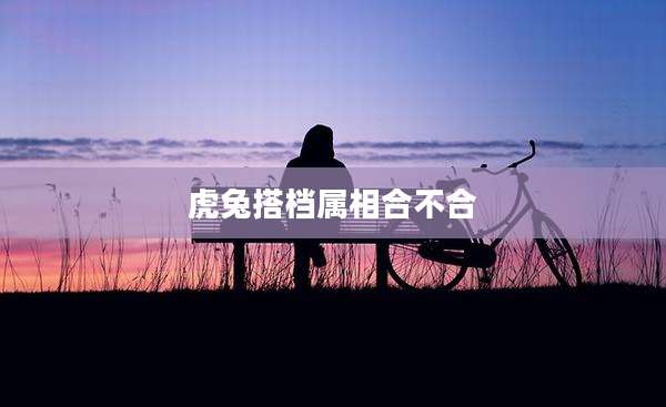 虎兔搭档属相合不合