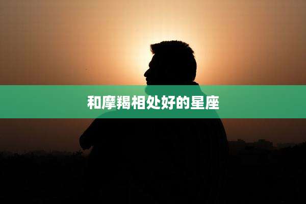 和摩羯相处好的星座