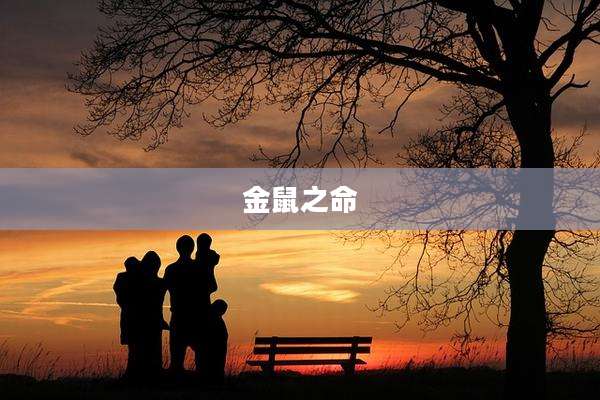 金鼠之命