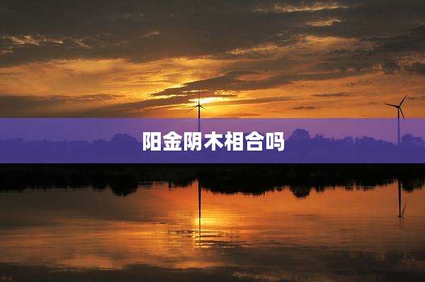 阳金阴木相合吗