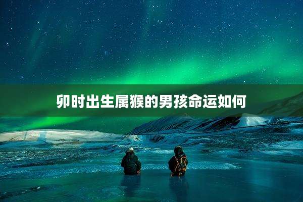 卯时出生属猴的男孩命运如何