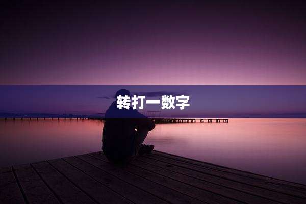 转打一数字