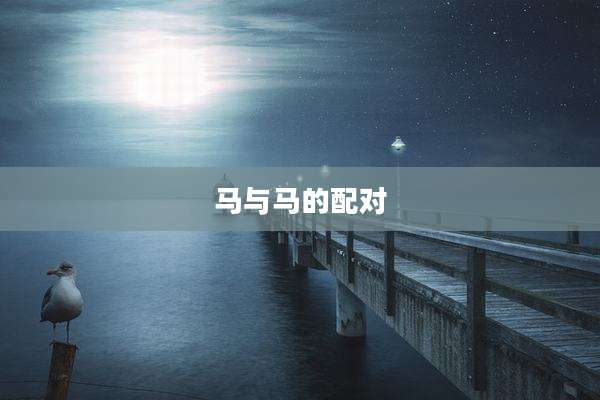 马与马的配对