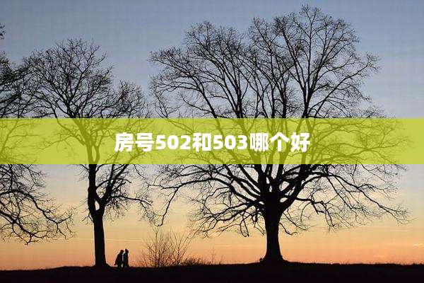 房号502和503哪个好