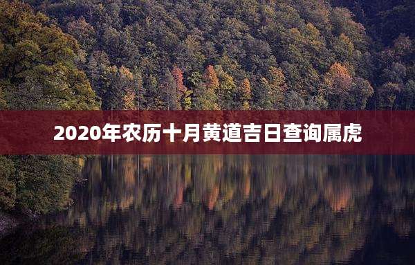 2020年农历十月黄道吉日查询属虎
