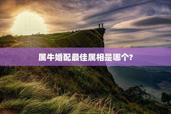 属牛婚配最佳属相是哪个?
