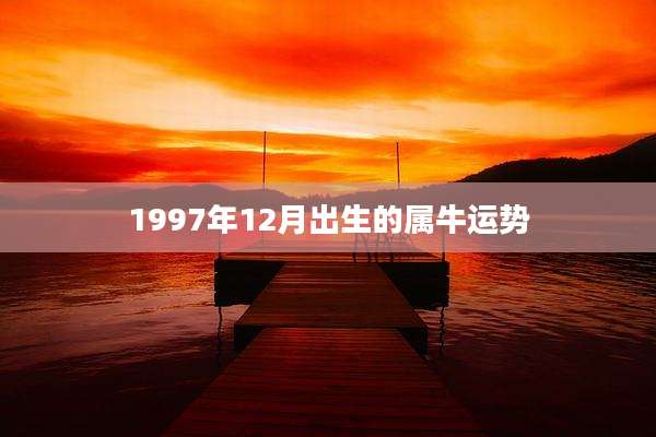 1997年12月出生的属牛运势
