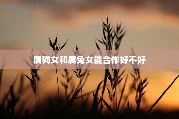 属狗女和属兔女能合作好不好
