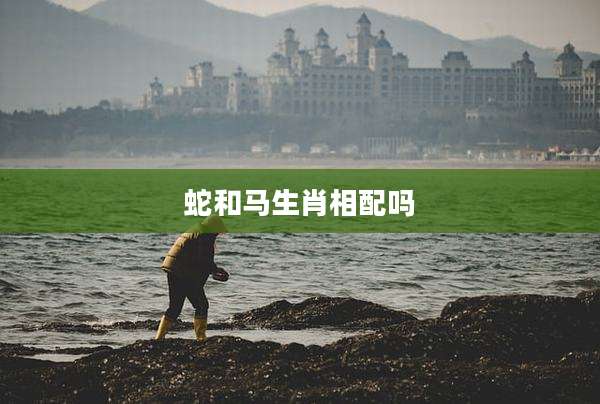 蛇和马生肖相配吗