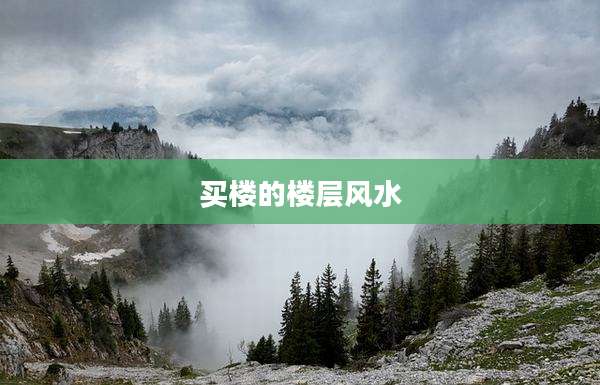 买楼的楼层风水
