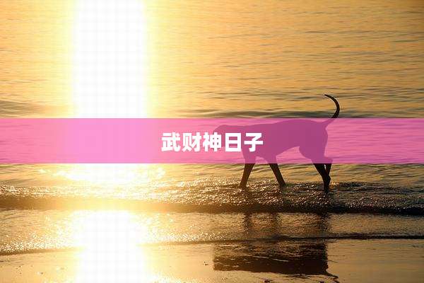 武财神日子