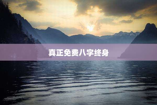 真正免费八字终身