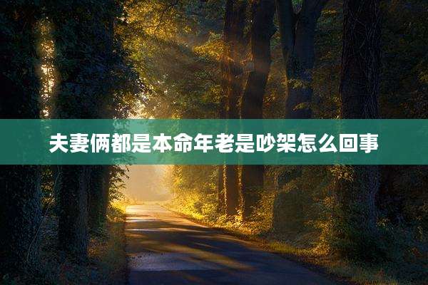 夫妻俩都是本命年老是吵架怎么回事