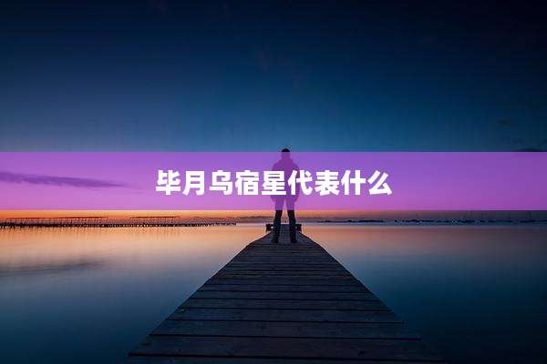 毕月乌宿星代表什么