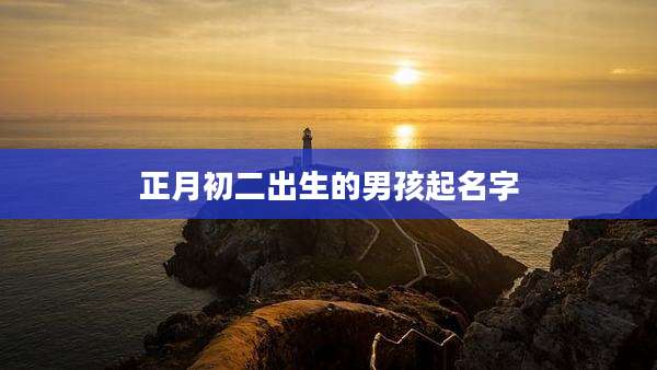 正月初二出生的男孩起名字
