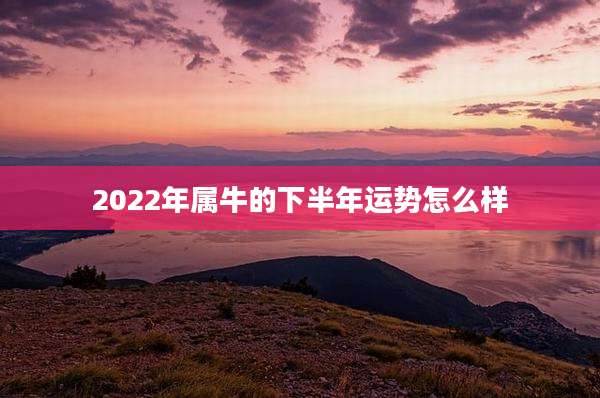 2022年属牛的下半年运势怎么样