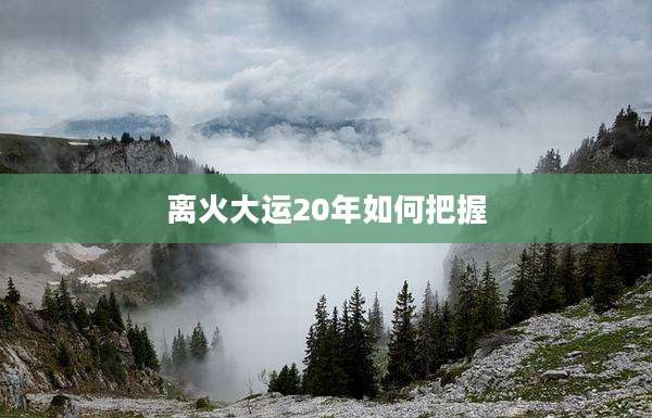 离火大运20年如何把握