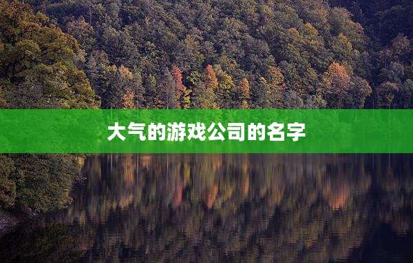 大气的游戏公司的名字