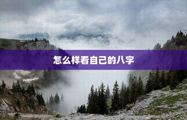 怎么样看自己的八字