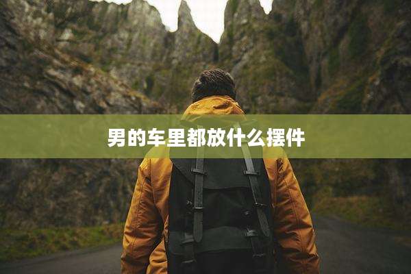 男的车里都放什么摆件