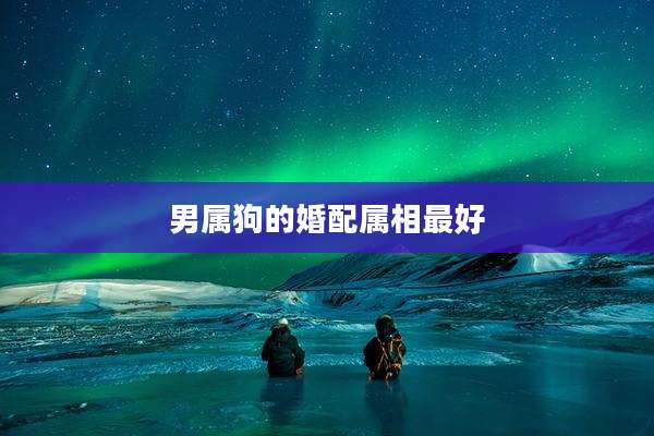 男属狗的婚配属相最好