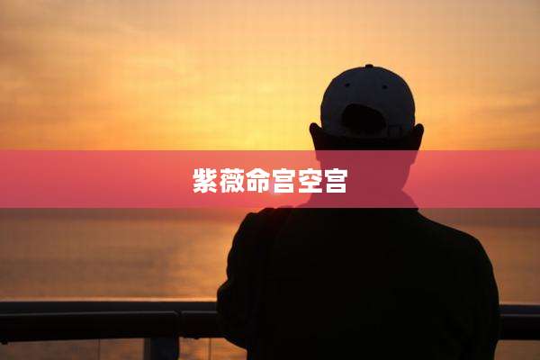 紫薇命宫空宫