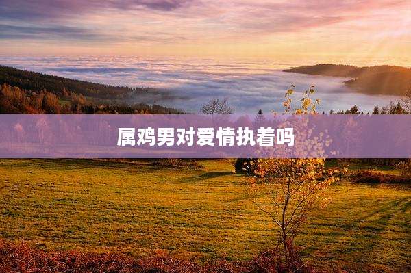 属鸡男对爱情执着吗