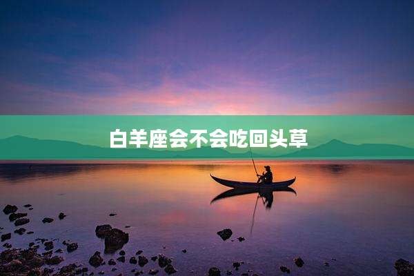 白羊座会不会吃回头草