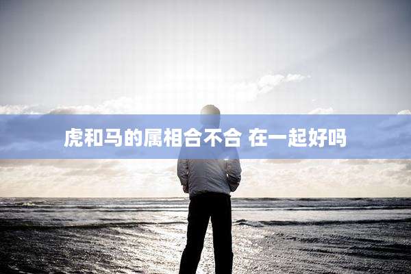 虎和马的属相合不合 在一起好吗