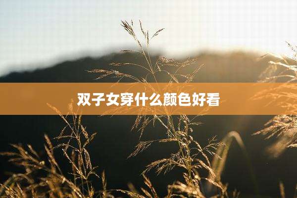 双子女穿什么颜色好看