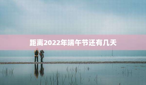 距离2022年端午节还有几天