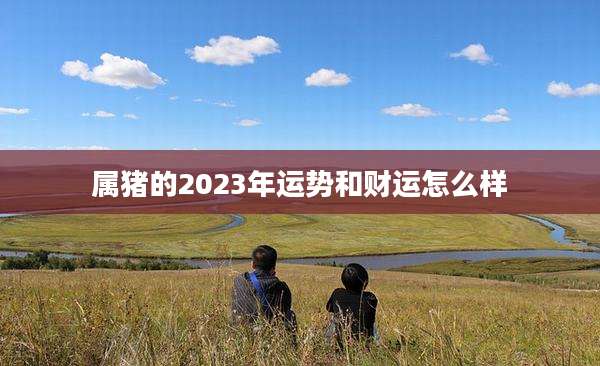 属猪的2023年运势和财运怎么样
