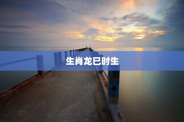生肖龙巳时生