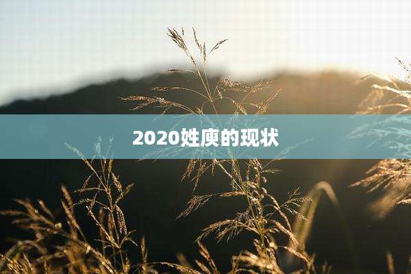 2020姓庾的现状