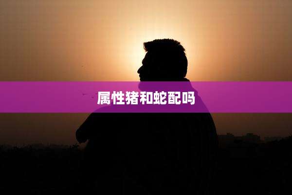 属性猪和蛇配吗