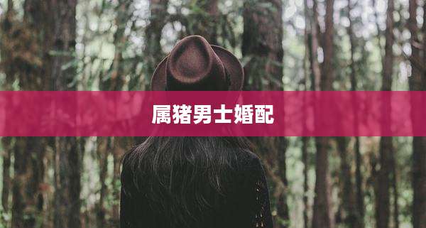 属猪男士婚配