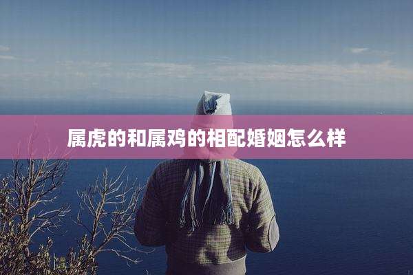 属虎的和属鸡的相配婚姻怎么样