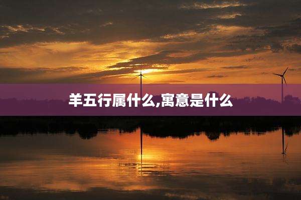 羊五行属什么,寓意是什么