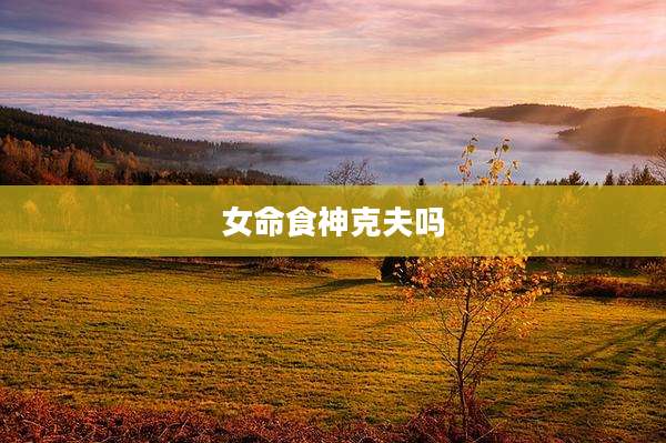 女命食神克夫吗