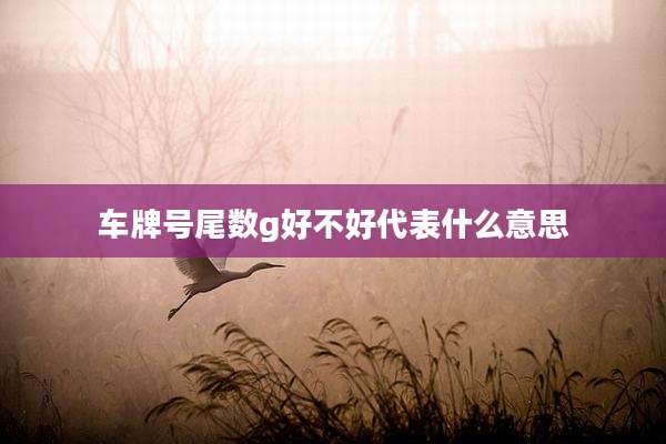 车牌号尾数g好不好代表什么意思