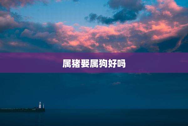 属猪娶属狗好吗