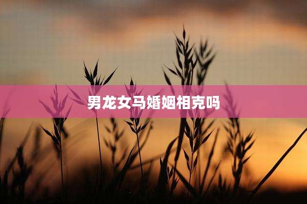男龙女马婚姻相克吗