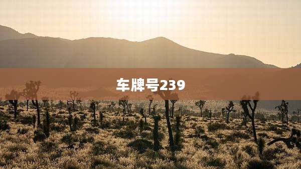 车牌号239