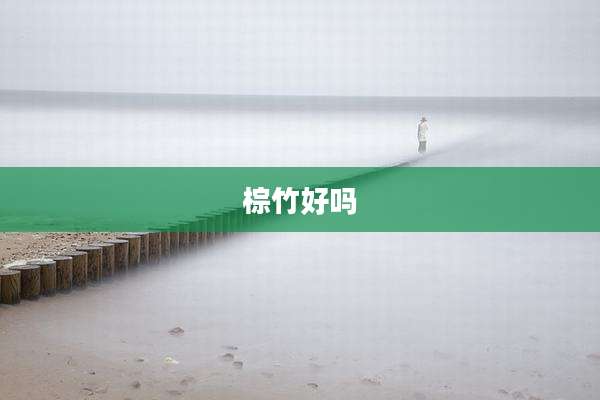 棕竹好吗