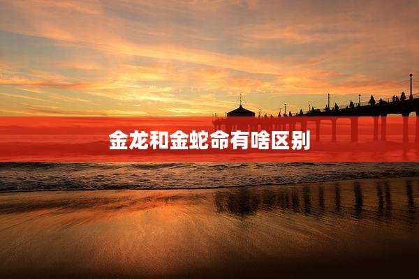 金龙和金蛇命有啥区别