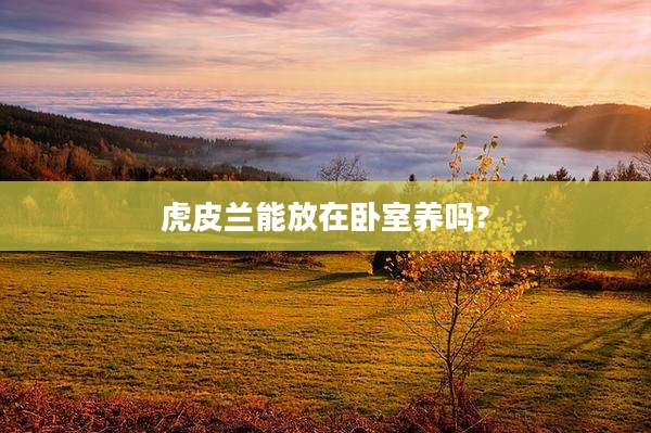 虎皮兰能放在卧室养吗?