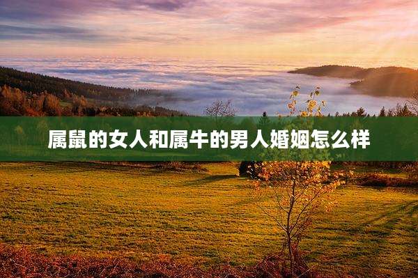 属鼠的女人和属牛的男人婚姻怎么样