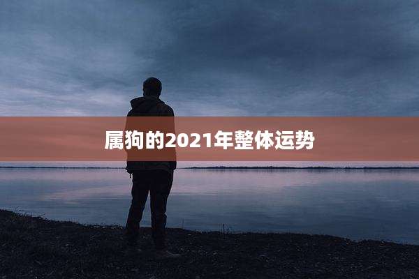 属狗的2021年整体运势