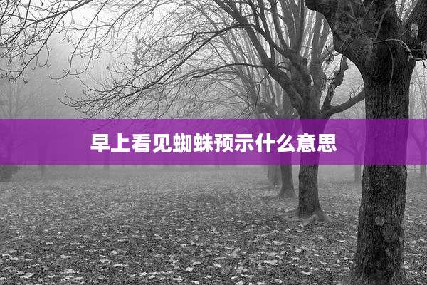 早上看见蜘蛛预示什么意思